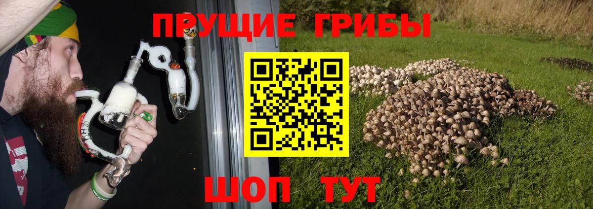 Псилоцибиновые грибы Psilocybine cubensis  Псилоцибиновые грибы мухоморы  Вход с VPN  Красноуфимск 
